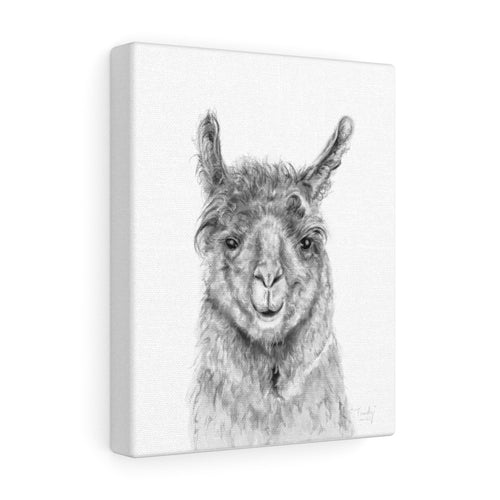 TRUDY Llama - Art Canvas