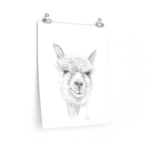 PAUL Llama- Art Paper Print