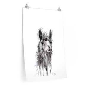 ALFONSO Llama- Art Paper Print