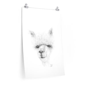 KADY Llama- Art Paper Print