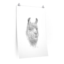 KAYLEE Llama- Art Paper Print