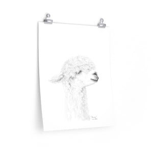 DANICA Llama- Art Paper Print