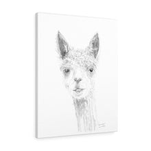 BRANDON Llama- Art Canvas