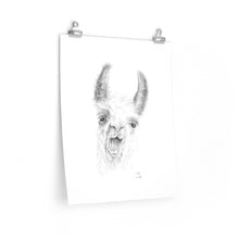 Gabby Llama- Art Paper Print
