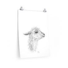 MENGKHA Llama- Art Paper Print