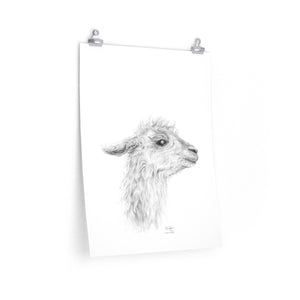 MENGKHA Llama- Art Paper Print