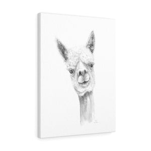 Luke Llama - Art Canvas