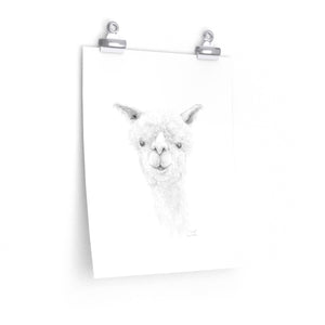JJARED Llama- Art Paper Print