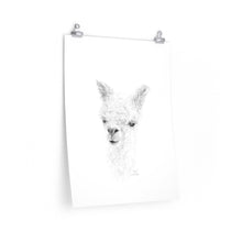 ZOE Llama- Art Paper Print