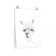 KADY Llama- Art Paper Print