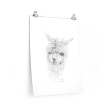 LILY Llama- Art Paper Print