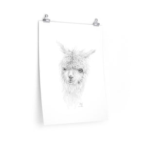 LILY Llama- Art Paper Print