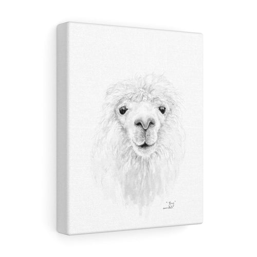 RORY Llama - Art Canvas