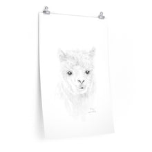 PARKER Llama- Art Paper Print