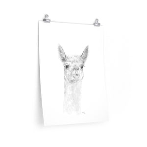 MADDIE Llama- Art Paper Print