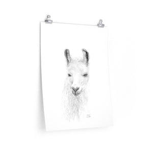 ALISHA Llama- Art Paper Print