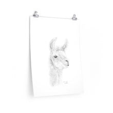 SAVANNAH Llama- Art Paper Print