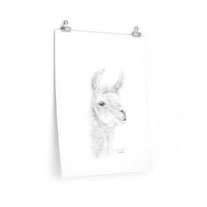 SAVANNAH Llama- Art Paper Print