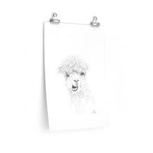 CLAIRE Llama- Art Paper Print