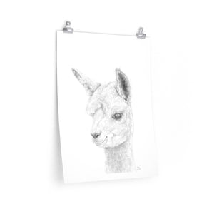 SKY Llama- Art Paper Print