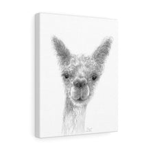 MARGARET Llama - Art Canvas