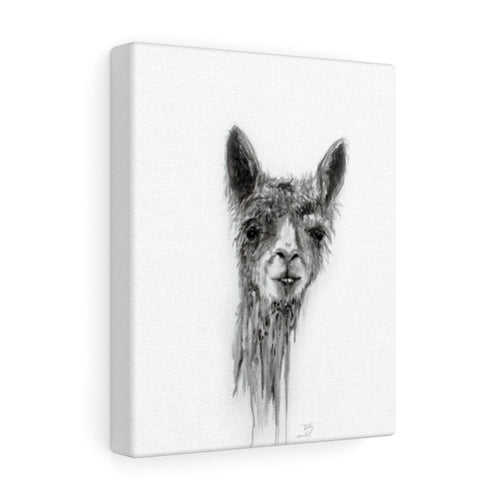 BILLY Llama - Art Canvas