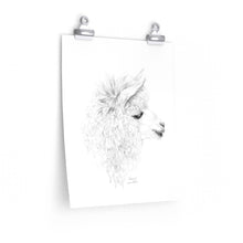 ARIANA Llama- Art Paper Print