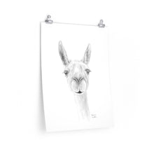 ADDISON Llama- Art Paper Print