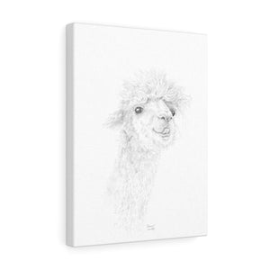 ELEANOR Llama - Art Canvas