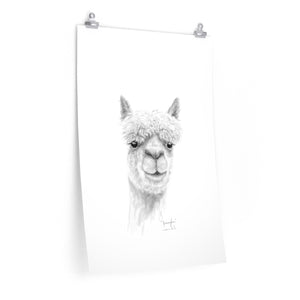 JENNIFER Llama- Art Paper Print