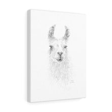 KAHLIE Llama - Art Canvas