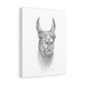 EVAN Llama - Art Canvas