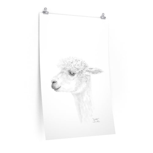 AYALKBET Llama- Art Paper Print