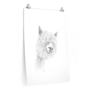 WALTER Llama- Art Paper Print