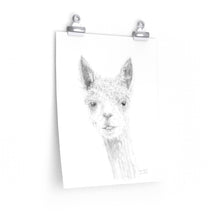 BRANDON Llama- Art Paper Print