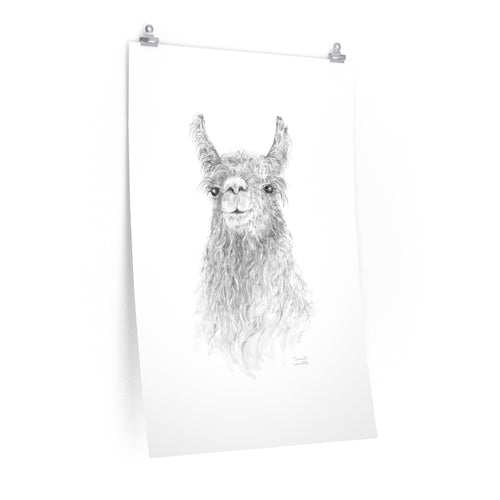 CONSWALA Llama- Art Paper Print