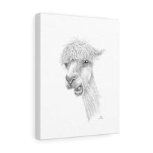 TYLER Llama - Art Canvas