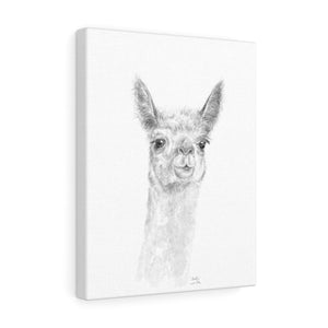 MADDIE Llama - Art Canvas