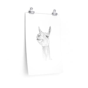 DAVYN Llama- Art Paper Print