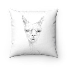 Llama Pillow - JOEY