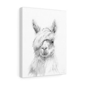 JOEL Llama - Art Canvas