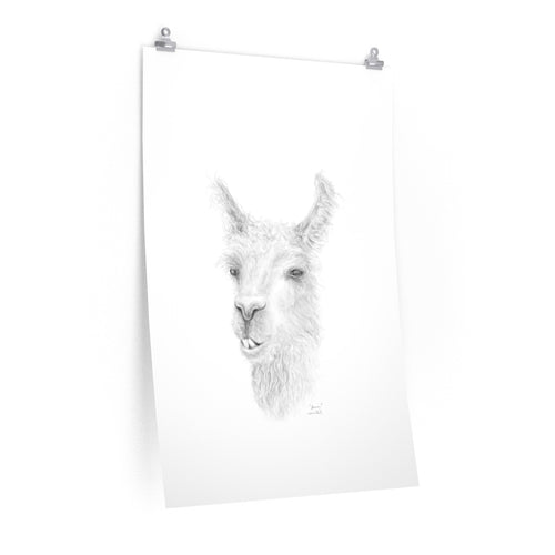 SHAUN Llama- Art Paper Print