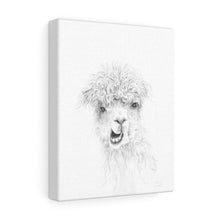 CLAIRE Llama - Art Canvas