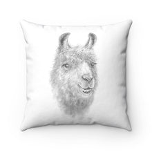 Llama Pillow - KAYLEE