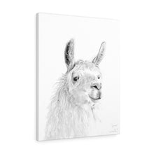 JAMES Llama - Art Canvas