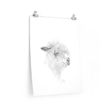 DANI Llama- Art Paper Print