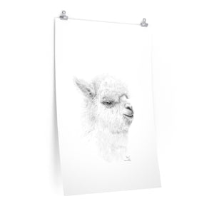 BEN Llama- Art Paper Print