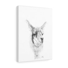 ADAM Llama - Art Canvas