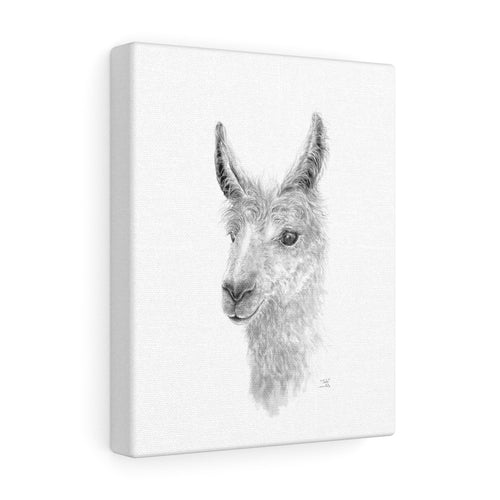 TEELE Llama - Art Canvas