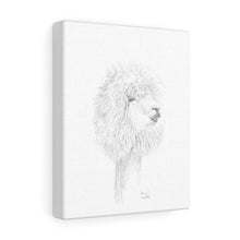 MIRIAM Llama- Art Canvas